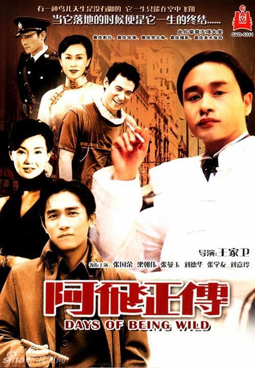 学位证书编号在哪看